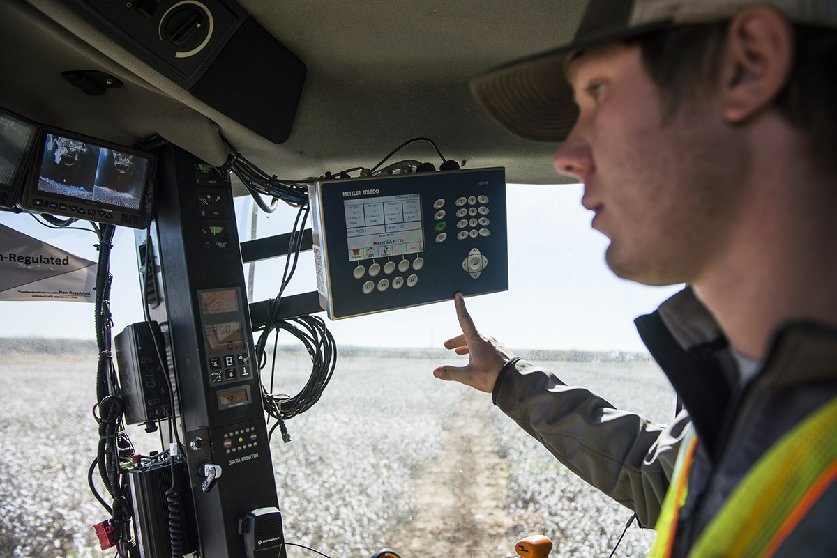 Bayer contractor Chase Gibson drives the picker over the test plots. The picker collects data on the weight of the lent from each plot. That data then gets stored to a USB drive so it can be compared to the earlier data to determine which tests move forward.